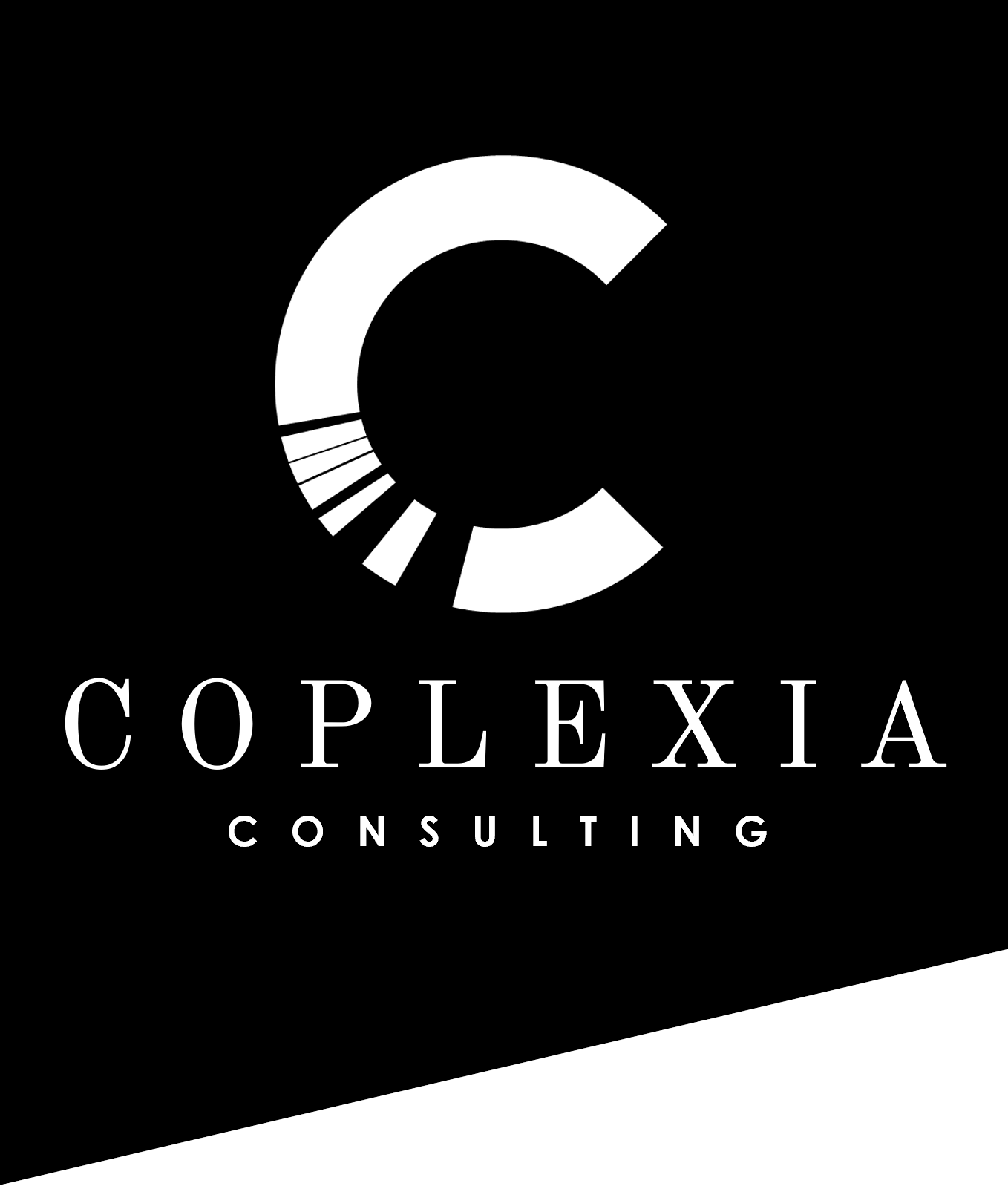 Coplexia Consulting Working Together As Virtuallyone Since 2003 